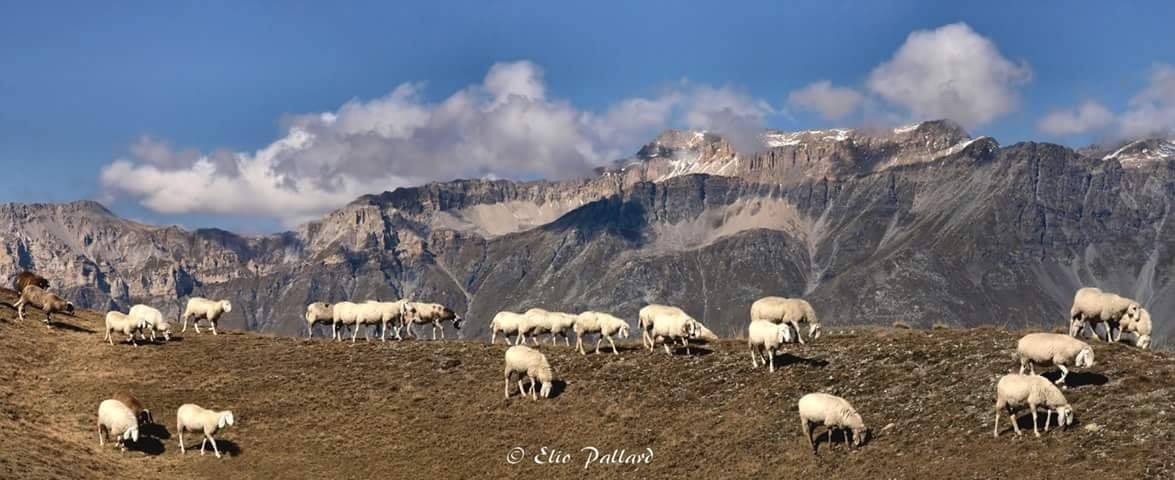 Testa dell'Assietta - Elio Pallard